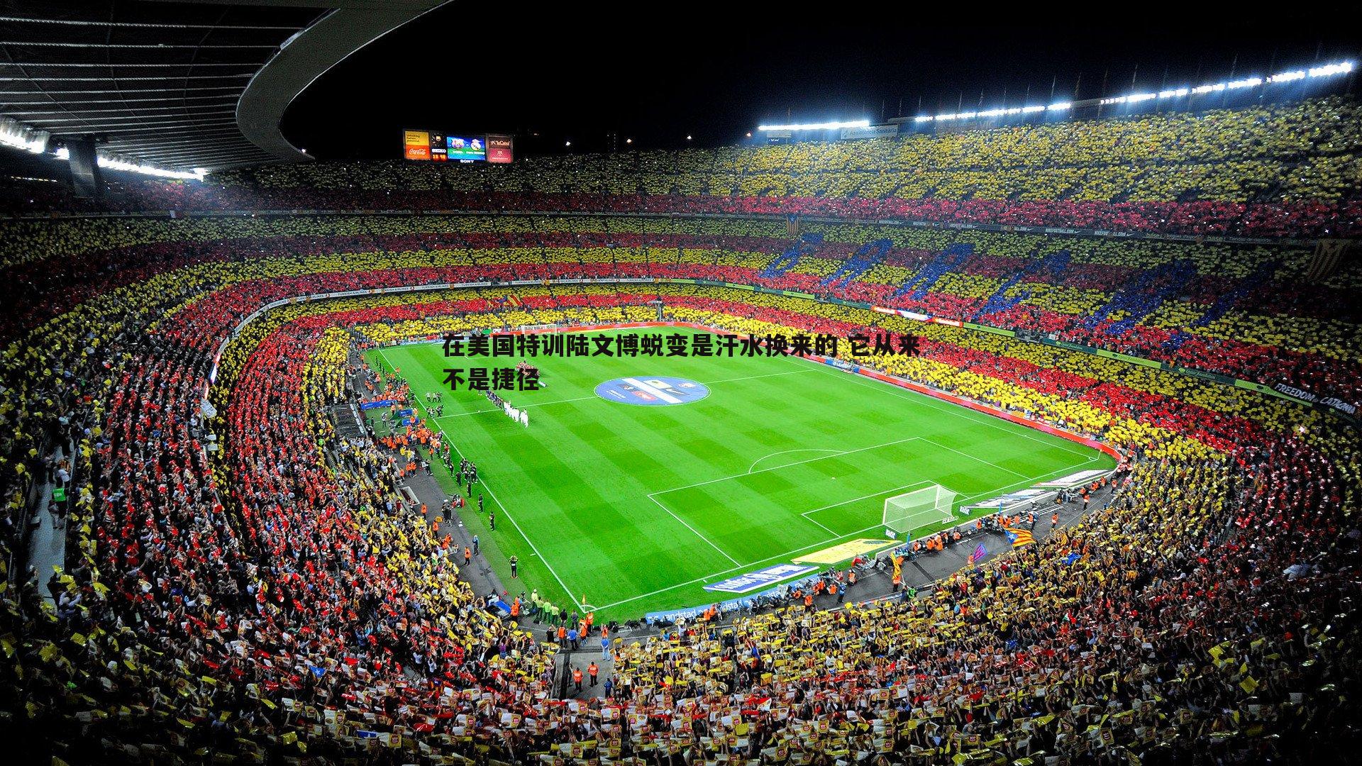 在美国特训陆文博蜕变是汗水换来的 它从来不是捷径