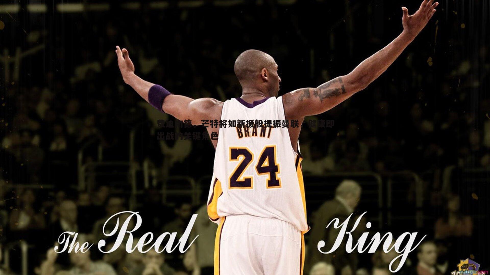 费迪南德,芒特将如新援般提振曼联,健康即出战的关键角色